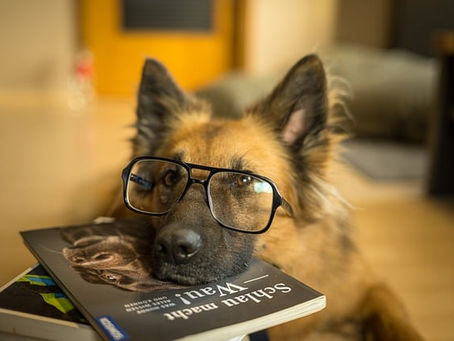 Study hard – askel kohti parempaa opiskelua