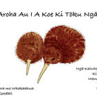 Ka Aroha Au I A Koe Ki Tōku Ngākau (I Love You To My Heart in Māori), book cover featuring an adult and baby kiwi