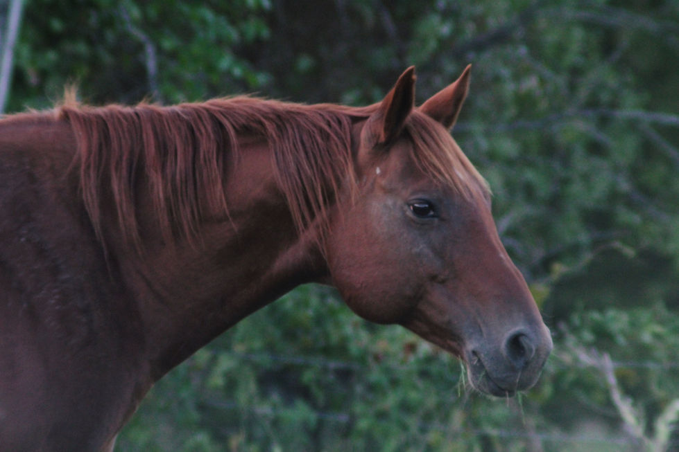 Photo Mar 01 2025, 20 21 10 (3)