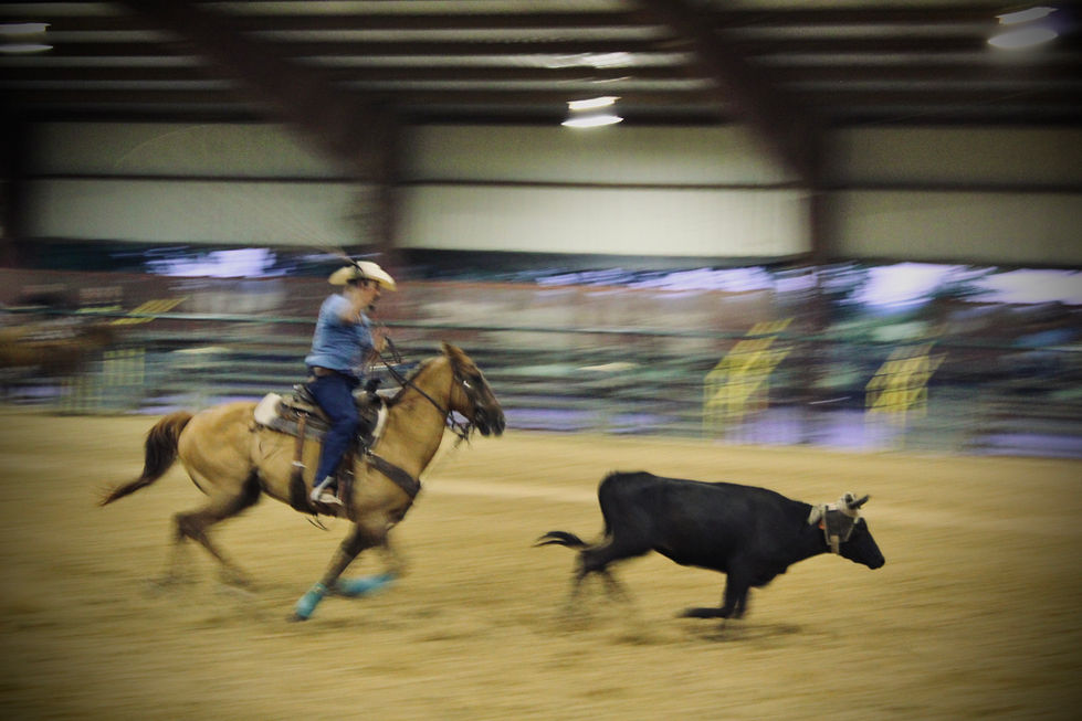 Photo Jun 27 2022, 18 54 57