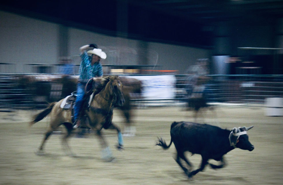 Photo Jun 13 2022, 19 45 13