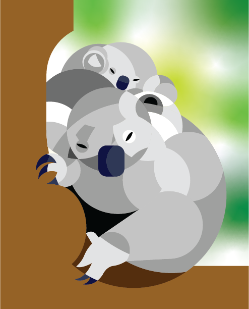 Koala