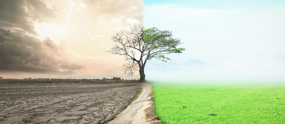 5 Ways To Go From A Scarcity To Abundance Mindset