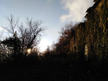 Towards the end of a year, towards the end of a book, Part II : The Folly of Writing