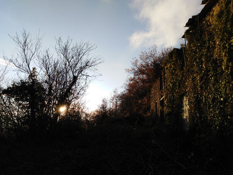 Towards the end of a year, towards the end of a book, Part II : The Folly of Writing