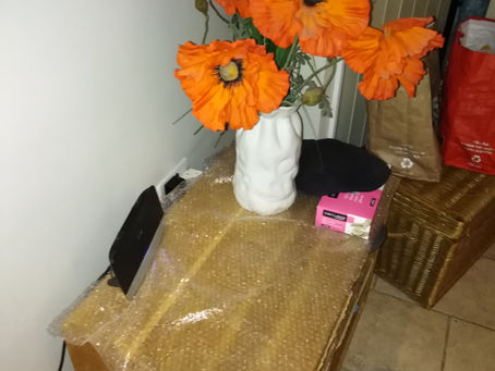 Bubble Wrap Lockdown?