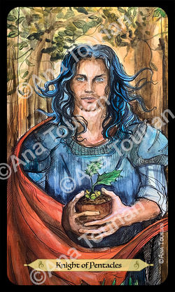 12 Knight of Pentacles copy