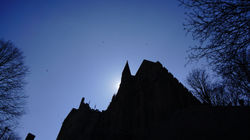 _DSC8354.JPG
