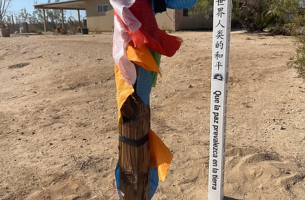 Screenshot 2025-08-12 at 2.41.28 PM.png