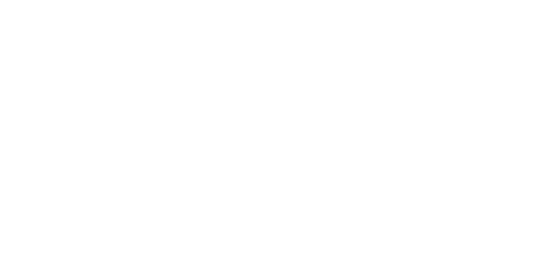 Albatross-birds-(1)_1.gif