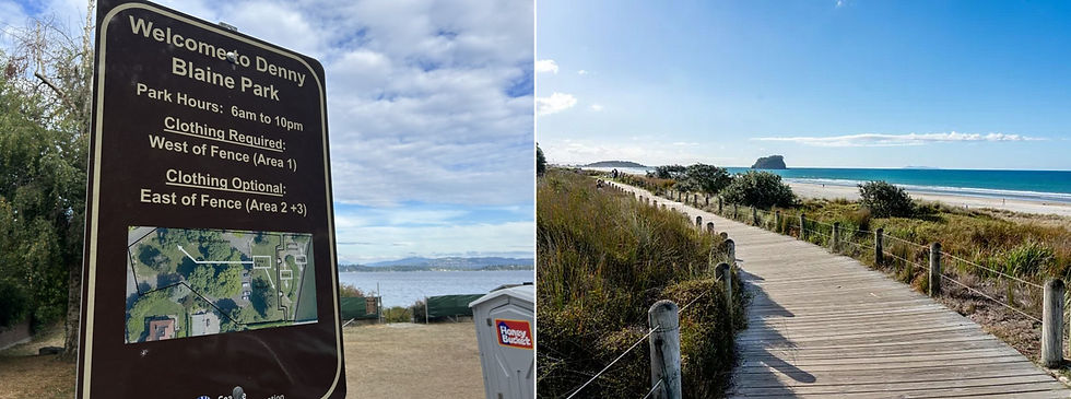 A professional 2500x930 split-screen news banner showing the official brown Denny Blaine Park zoning sign on the left with Lake Washington in the background, and the sunny wooden boardwalk track at Gisborne's Midway Beach on the right under a blue sky.