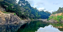 A wide-angle landscape photograph of Hoffman's Pool, showing a calm, dark river pool reflecting a steep rocky cliff bank, dense native bush, and tall pampas grasses on the right under a cloudy sky.