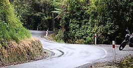A winding, narrow paved road through dense green New Zealand native bush with a motorcycle parked on the shoulder.