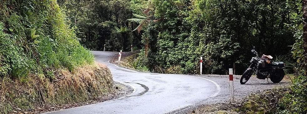 A winding, narrow paved road through dense green New Zealand native bush with a motorcycle parked on the shoulder.