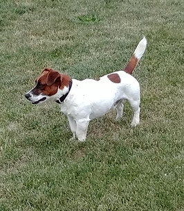 20180821_193233.jpg