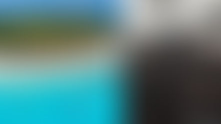 San Andrés: El video viral de un vuelo casi vacío que alertó el tema del turismo en la isla