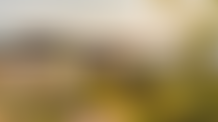 Ritwal: una experiencia gastronómica con la mejor vista de Medellín