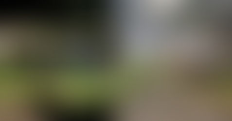 Masacre en Rionegro, Antioquia: Autoridades ofrecen recompensa a quién brinde información de los homicidas