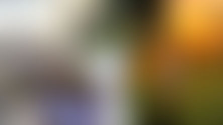 Entre elegante y tradicional: Así es la finca familiar de Cristina Hurtado