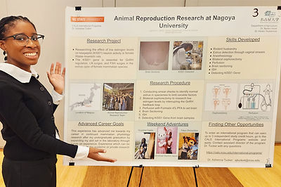 Image-empty-state_edited_edited_edited_e