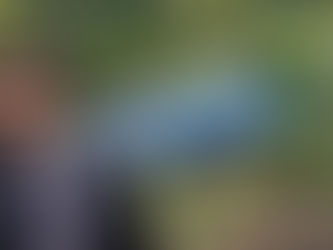 Columnas políticas hoy 30 de diciembre de 2025