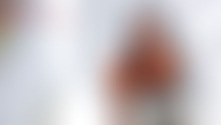 Universidad Rosario Castellanos: planteles y carreras