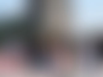 Resultados UNAM 2024 SUAyED: cuándo y cómo consultarlos