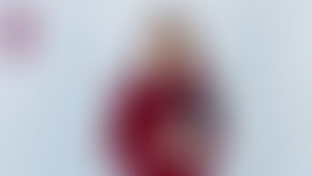 Universidades incorporadas al IPN