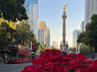Horario Metrobús CDMX Navidad 2024 ¿A qué hora abre y cierra?