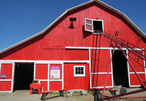 Farm Fun At Critter Barn In Zeeland Kzoo Kids