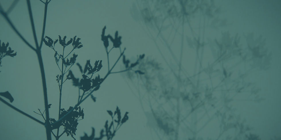 Julia Christal ganzheitliche Medizin -2.jpg