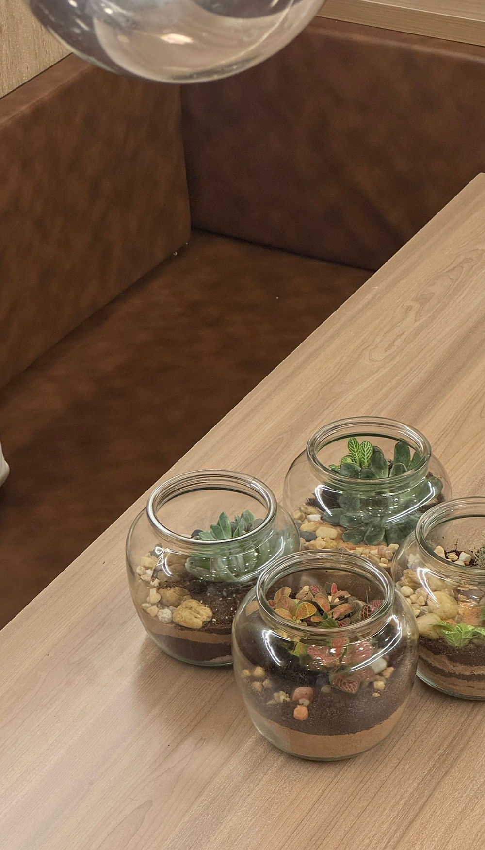 Four glass terrariums on a wooden table