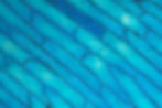 AdobeStock_425503507.jpeg