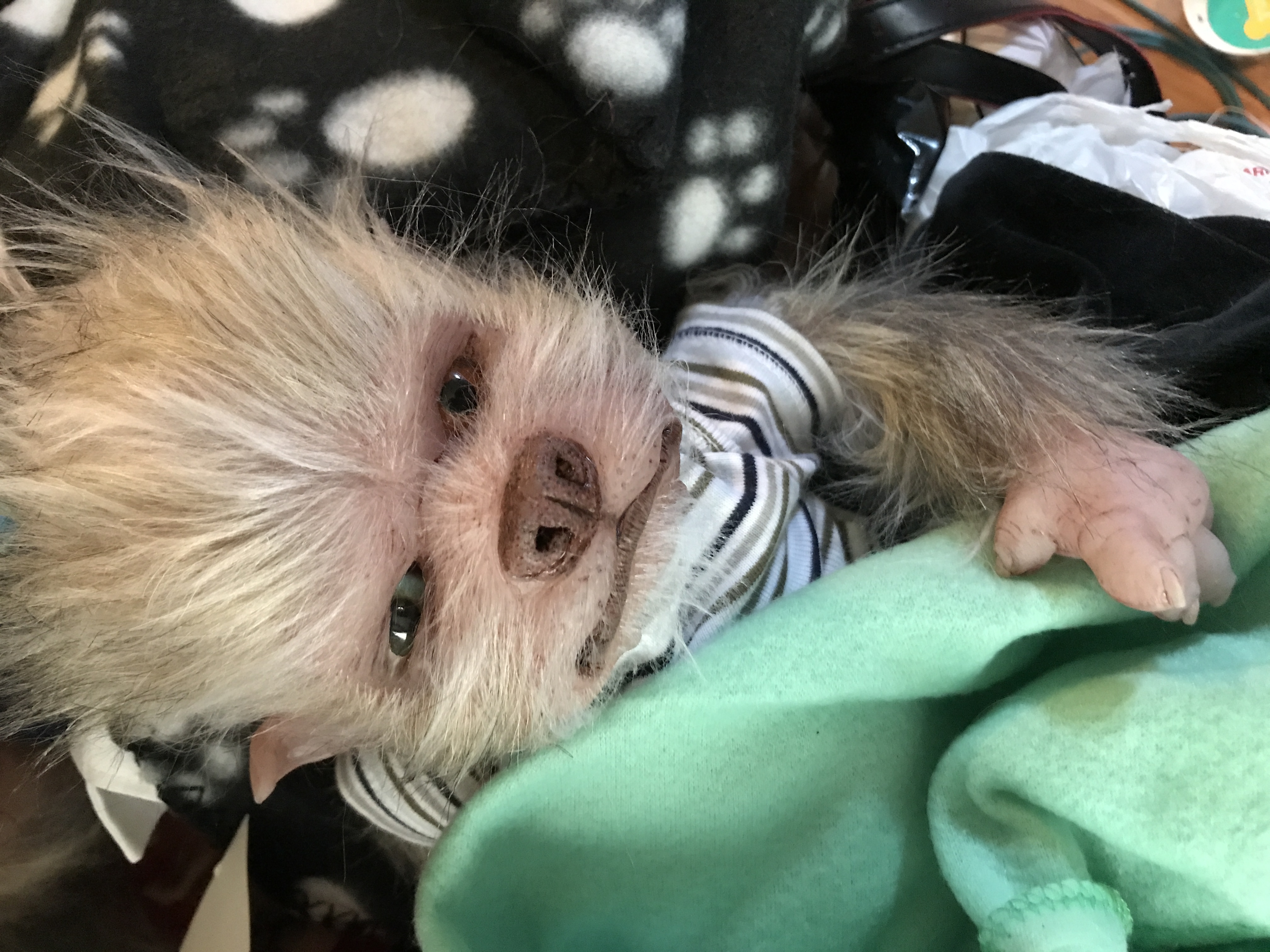 Bowie