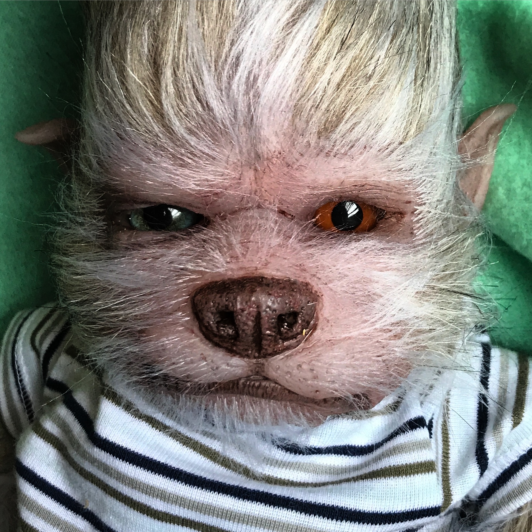 Bowie