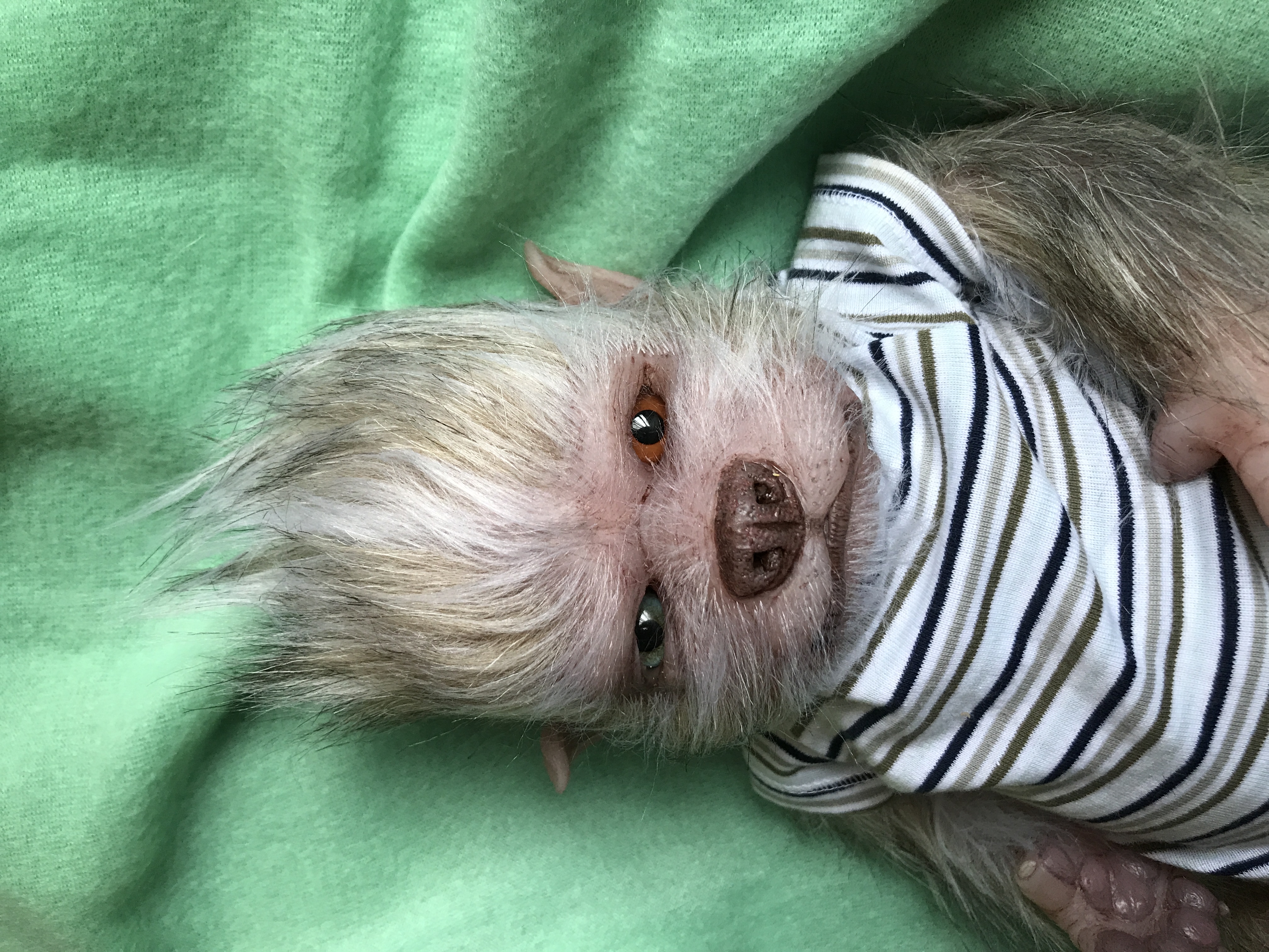 Bowie