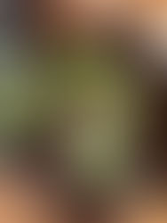 Utiliser un Oïa | Ce qu’il faut savoir