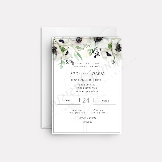 כלניות לבנות