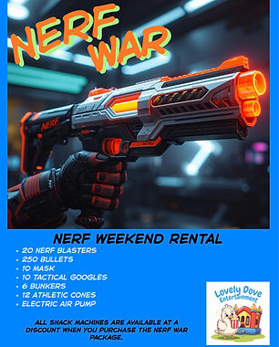 nerf fly.jpg