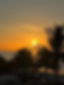 IMG_2463.jpeg