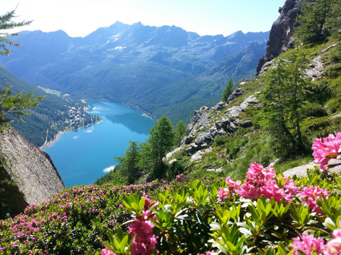 Ceresole Reale.jpeg