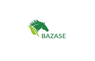 BAZASE_4x3.jpg