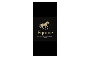 equine-osteopathy_4x3.jpg