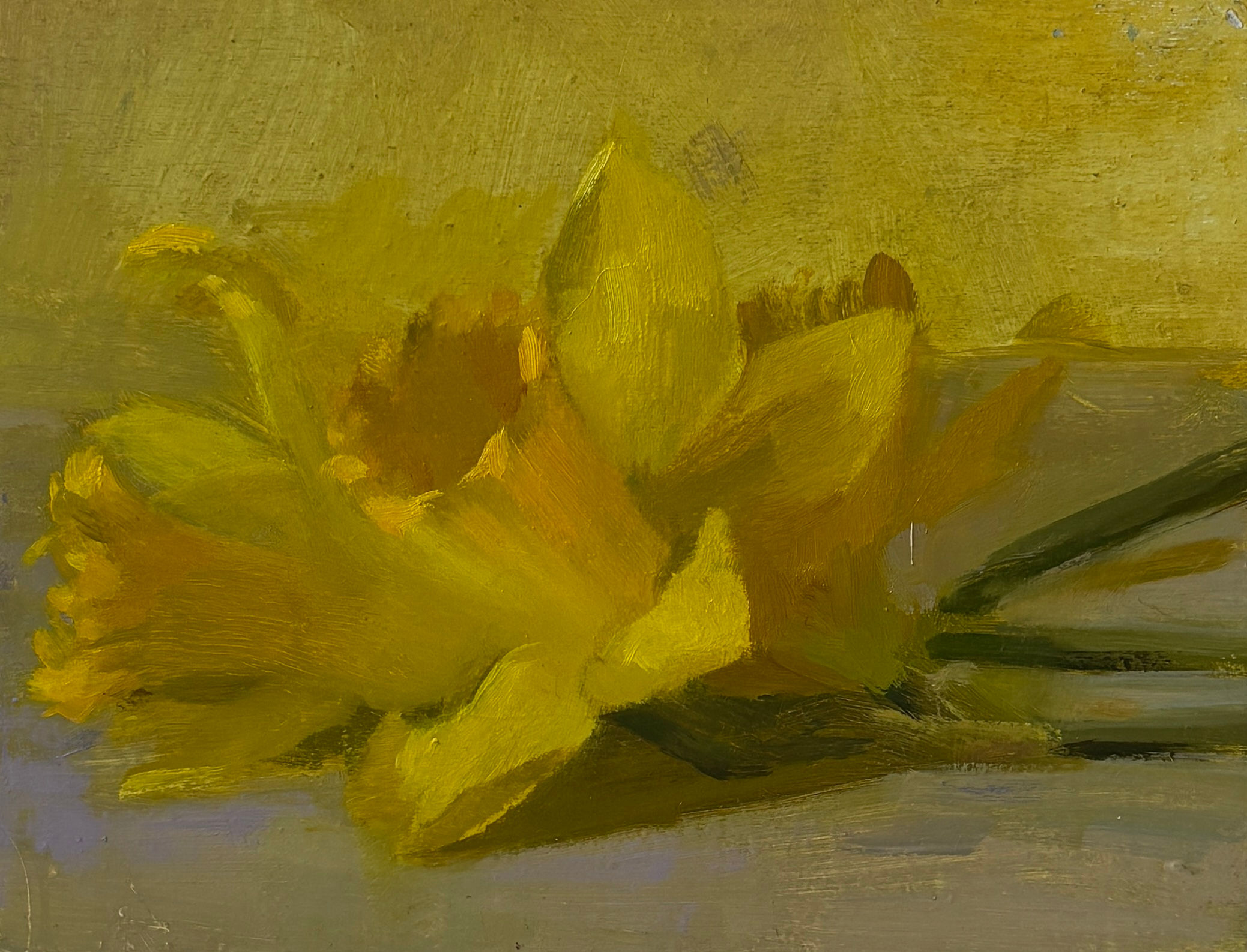 Daffodils on Yellow