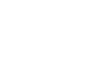 MinneapolisRenCouncil_White.png