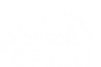 Logo_Plauschundpinsel_weiß_transparent.png