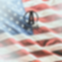 Approach Patriot (2).png
