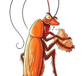 roaches_edited_edited.jpg