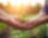 Firefly_Photorealistic close-up of two young hands gently cupping a fresh hemp flower bud.