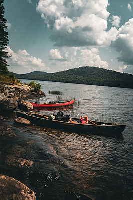 53981077295_5f5ed4efb1_o.jpg